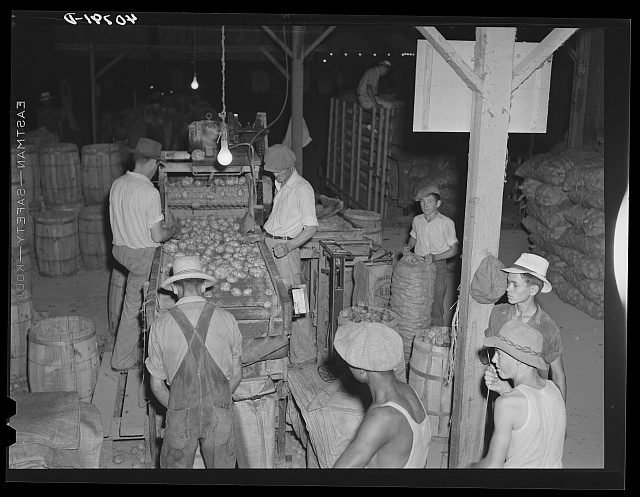 Night shift at the potato grading station in Camden, N.C., 1940. Photo by Jack Delano. Courtesy, Library of Congress