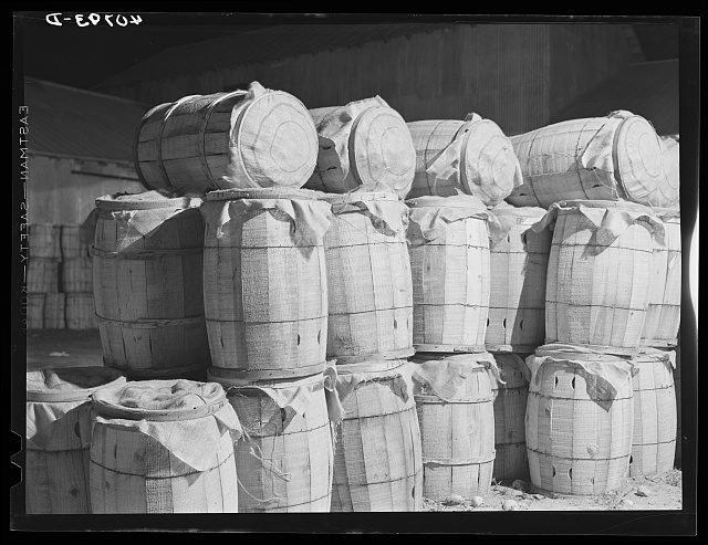 Sacks of potatoes at freight station, Camden, N.C., 1940. Photo by Jack Delano. Courtesy, Library of Congress
