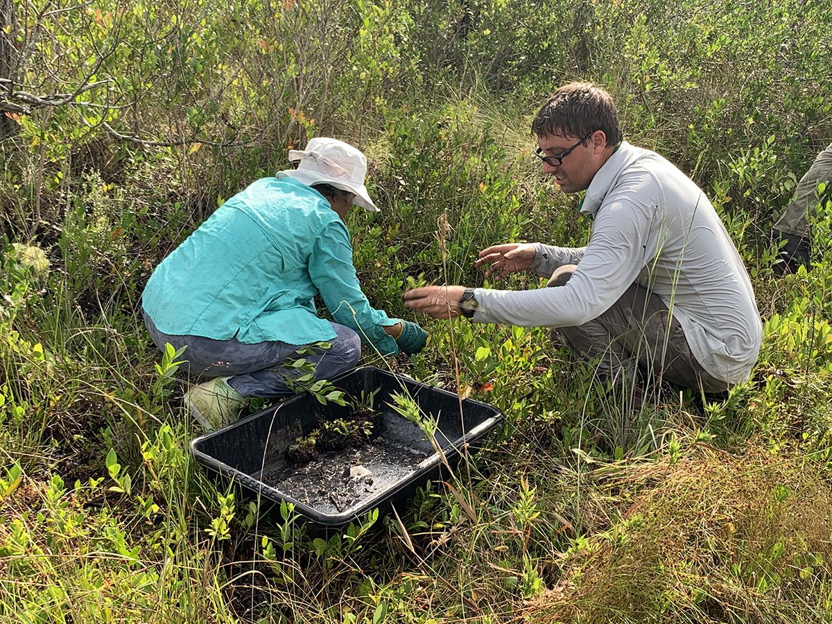 https://coastalreview.org/wp-content/uploads/2023/08/flytrap-relocation.jpg