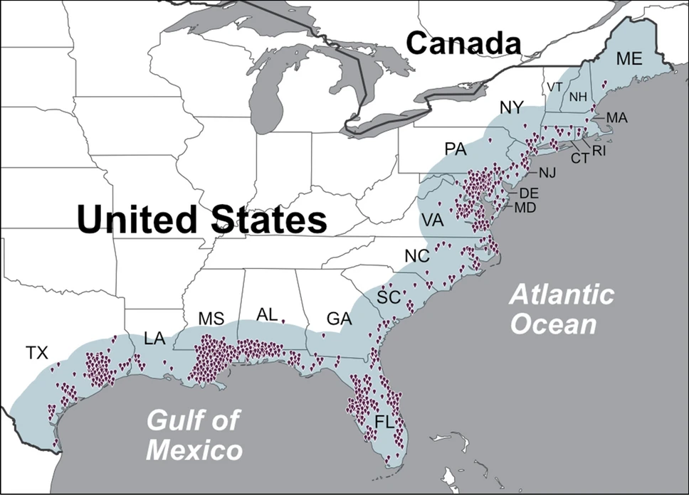 Original locations of the 709 confirmed non-foodborne V. vulnificus infections reported to the Cholera and Other Vibrio Illness Surveillance (COVIS) database between 2007 and 2018 within 200 km of the east USA coastline (blue shading). From: Climate warming and increasing Vibrio vulnificus infections in North America
