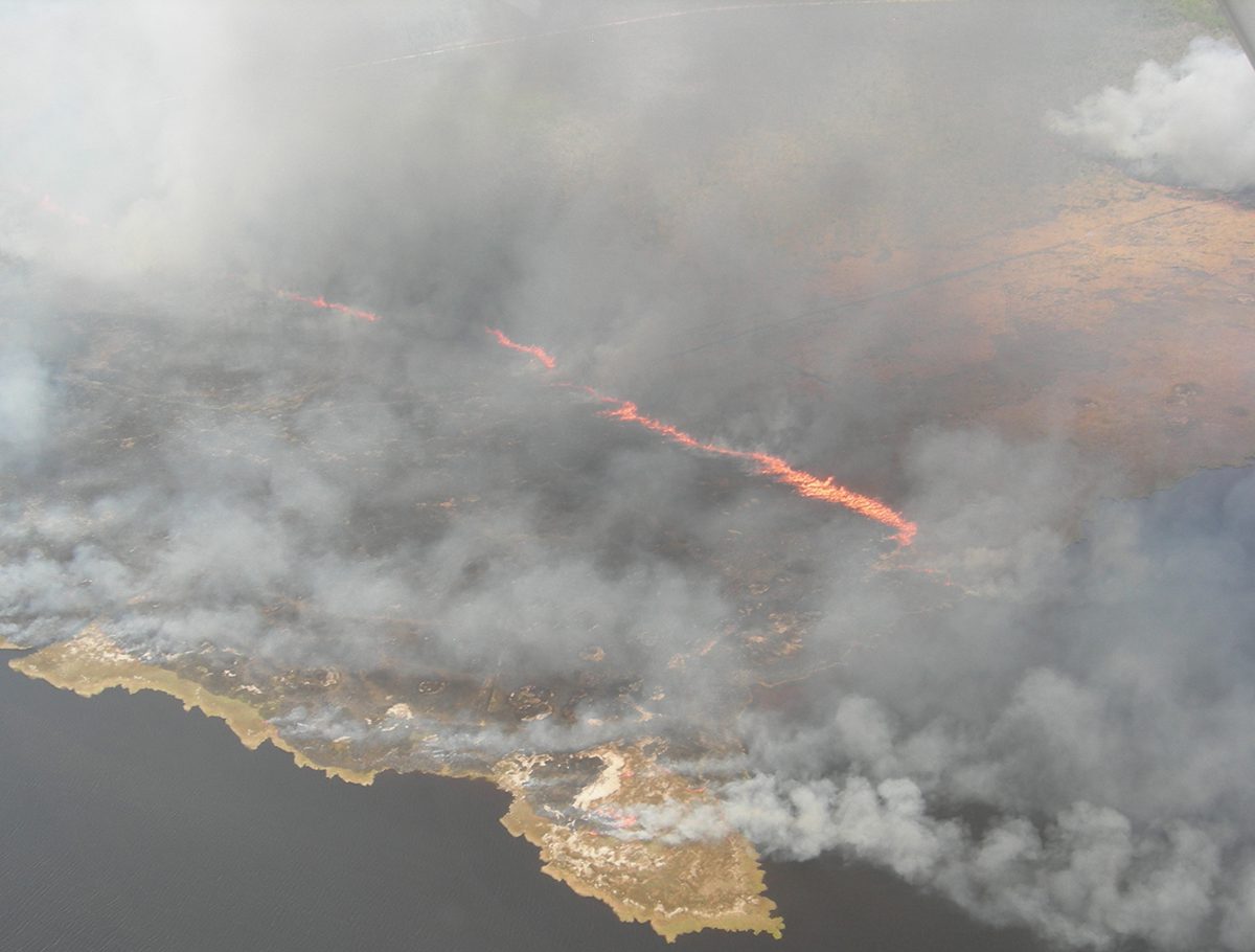 The Whipping Creek Road fire burns in Dare and Hyde counties in April 2016. Photo: N.C. Forest Service