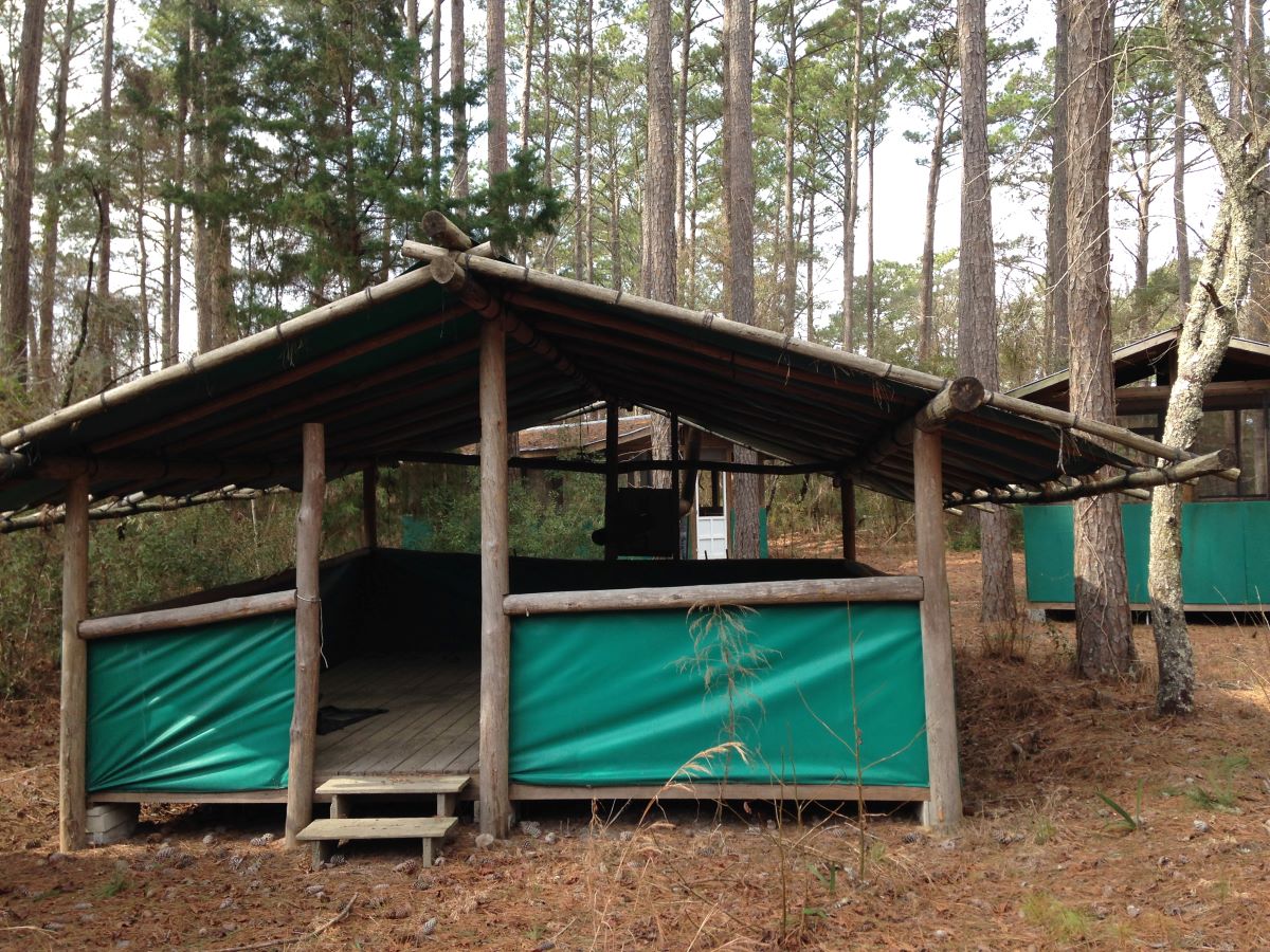 Primitive camping area at Gales Creek Preserve in Newport. Photo: N.C. Coastal Land Trust