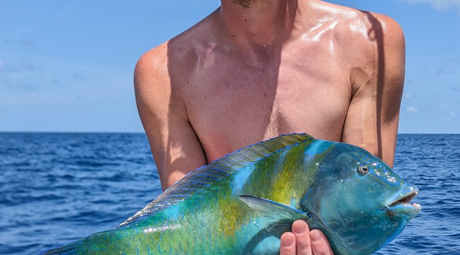 Connor Stone of Southport shows off his 3-pound, 11-ounce puddingwife wrasse. Photo: Division of Marine Fisheries