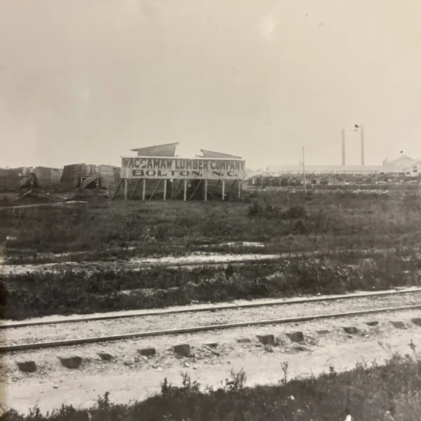 The Waccamaw Lumber Co.’s mill, Bolton, N.C., early 20th century. From Waccamaw Lumber Co. Photographs and Journal, Rubenstein Library, Duke