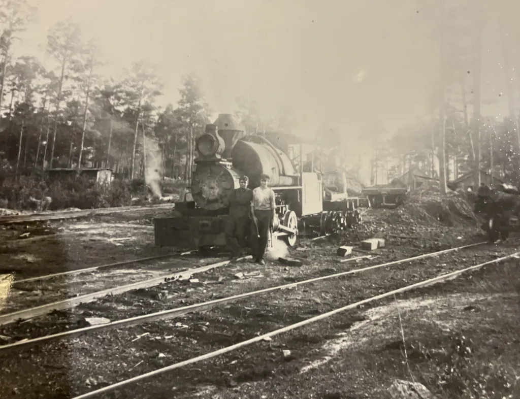 The company’s workers built spurs into even the most remote corners of the Green Swamp. Smaller train engines, such as this one, traveled those rails and carried logs out to the main line. From Waccamaw Lumber Co. Photographs & Journal, Rubenstein Library, Duke University
