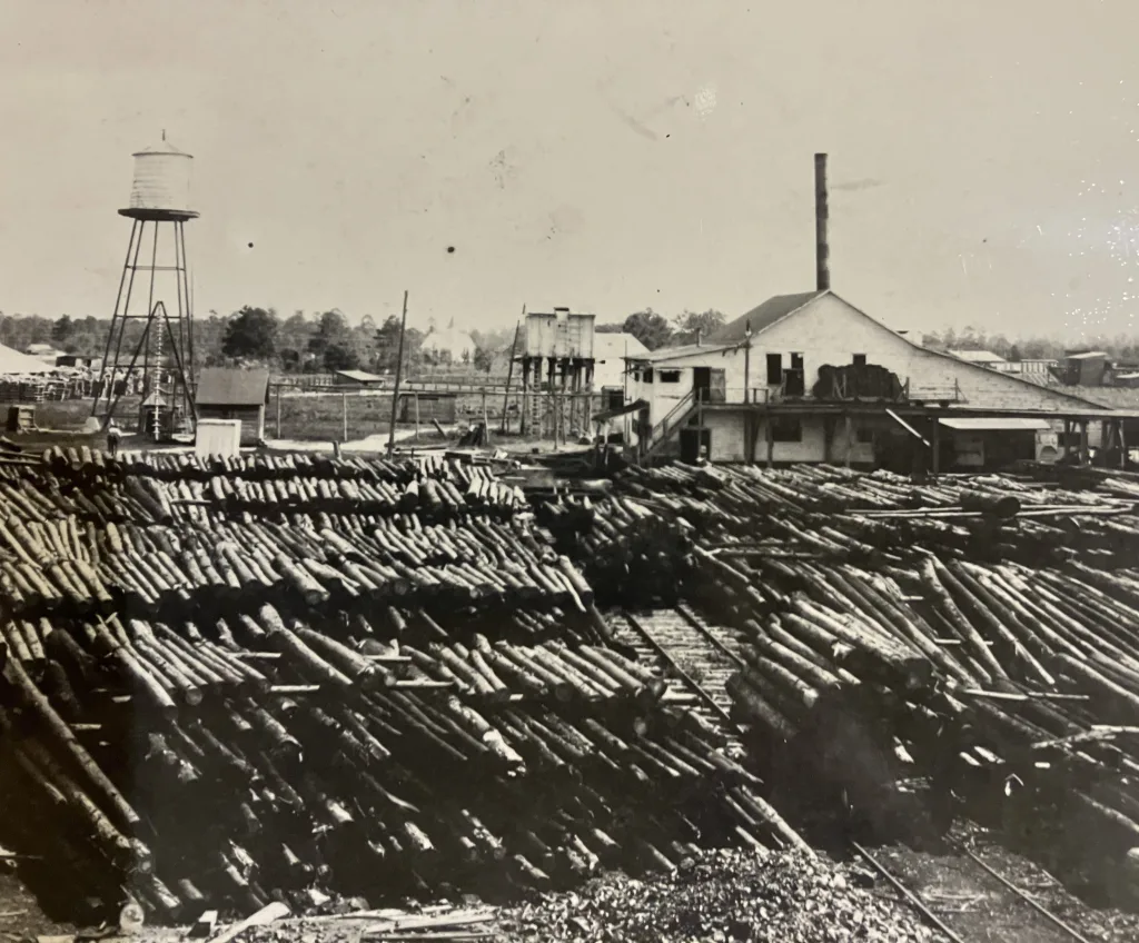 Log pond at the company’s mill in Bolton. Arthur Little (former employee): “They had plenty of timber then. They didn’t think it would ever give out. But they found out between fire and what they cut…, they soon found out it won’t going to last.” Waccamaw Lumber Co. Photographs & Journal, Rubenstein Library, Duke University

