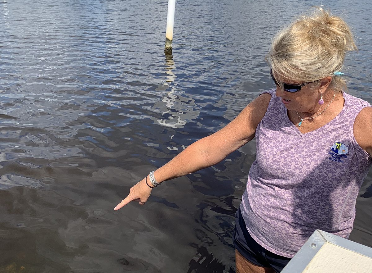 Jacksonville Stormwater Manager Pat Donovan-Brandenburg points out the location of artificial oyster reefs in the New River. The reefs are part of the Oyster Highway Project to help revive and maintain the river's water quality. Photo: Trista Talton