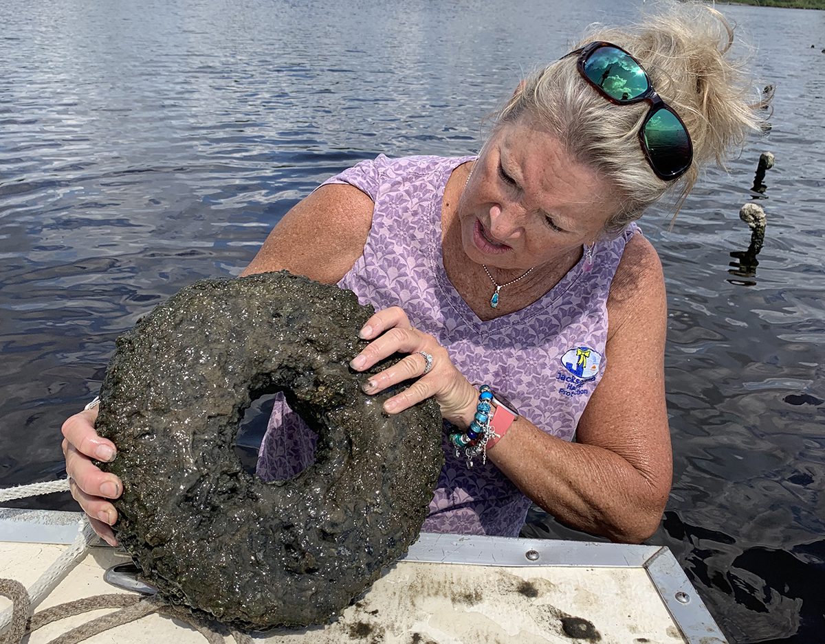 Jacksonville Stormwater Manager Pat Donovan-Brandenburg holds a biodegradable artificial reef builder called an Oyster Catcher. Oyster Catchers help make up a series of 12 artificial reefs built between Wilson Bay and Stones Bay in the New River. Photo: Trista Talton