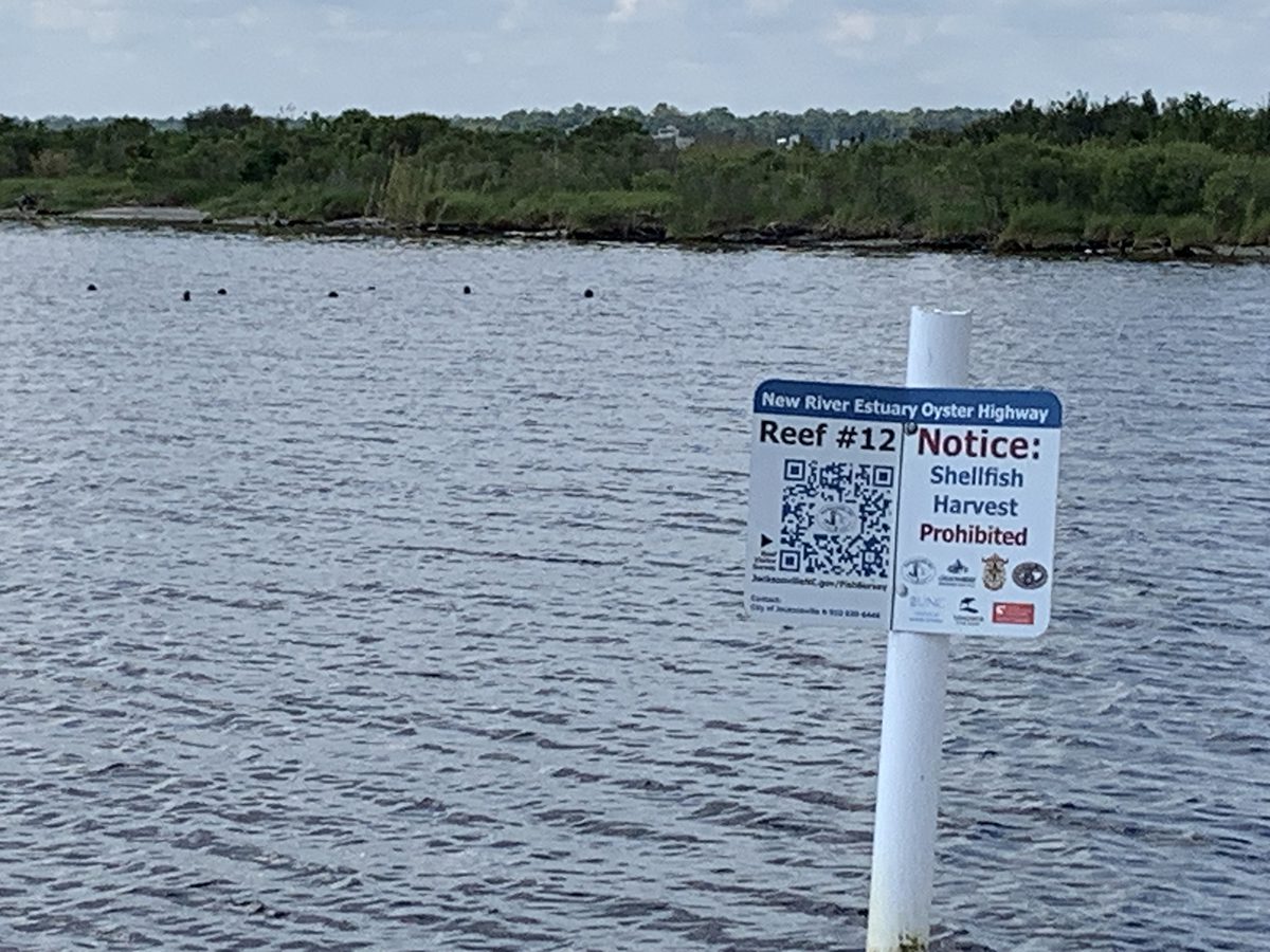 A sign marks one of 12 artificial oyster reefs placed in the New River as part of the Oyster Highway Project in Jacksonville. The project began seven years ago as a way to help revive the river, which was closed to the public for years because its waters had been polluted by discharge from the city's wastewater treatment plant. The plant was closed in the late 1990s. Photo: Trista Talton