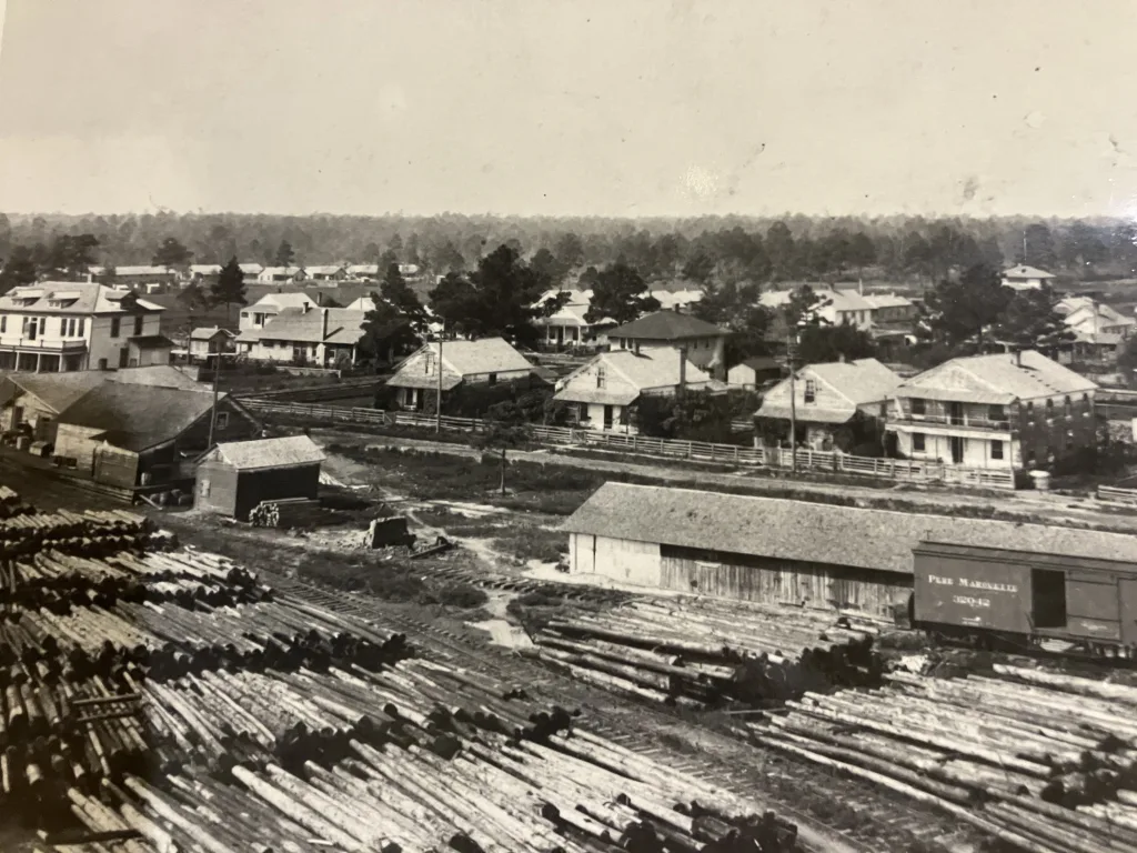 The town of Bolton, N.C., looking across the company’s log pond and railroad tracks, ca. 1910-30. Bolton was a lumber mill boomtown established in 1899 when the Bolton Lumber Co. built a mill there. Photo courtesy, Waccamaw Lumber Co. Photographs & Journal, Rubenstein Library, Duke University
