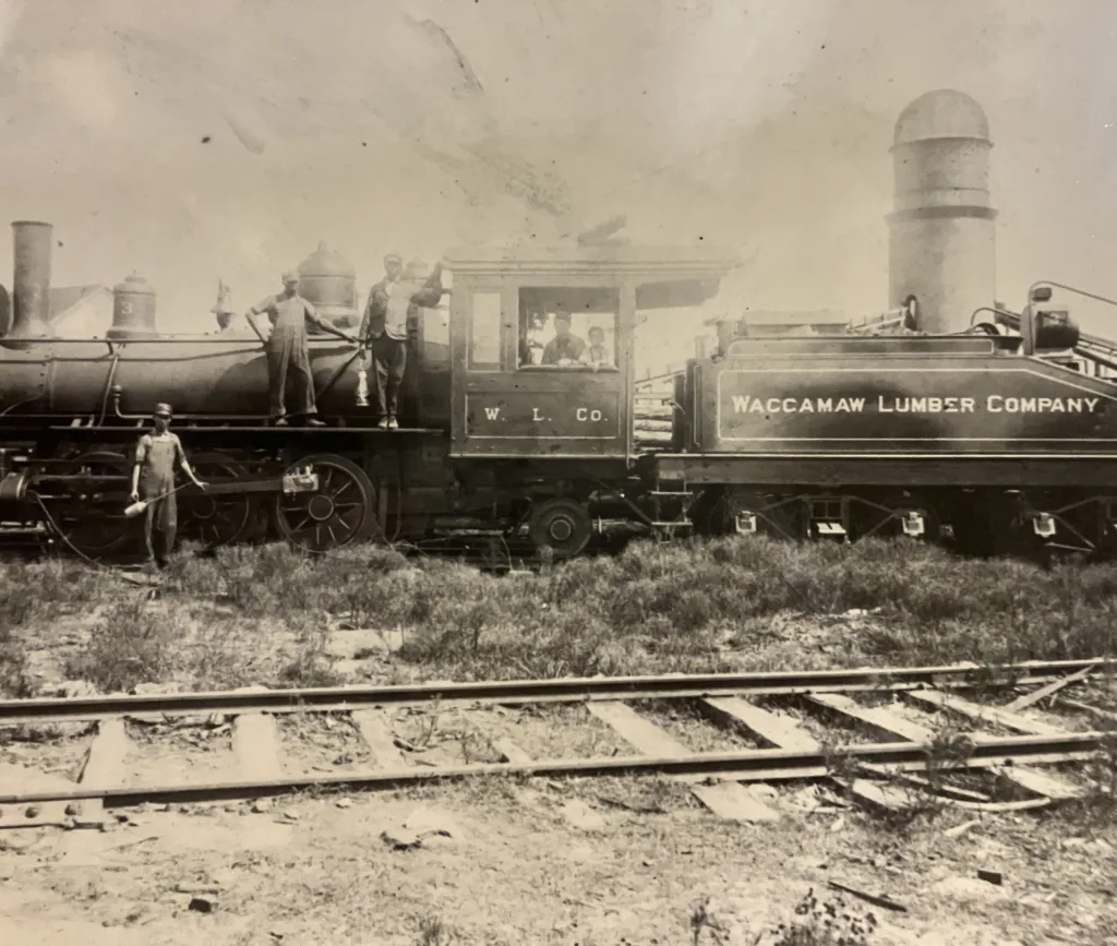 Train engine and tender, Waccamaw Lumber Company. Whit Martin, our photographer, was the engineer on the company’s #3 train (shown here), which ran along the main line between the Makatoka logging camp and the company’s mill in Bolton. Waccamaw Lumber Co. Photographs & Journal, Rubenstein Library, Duke University
