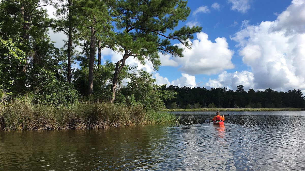 The property has more than 4 miles of frontage along the Bay River, Smith and Newton Creeks. Photo: Coastal Land Trust