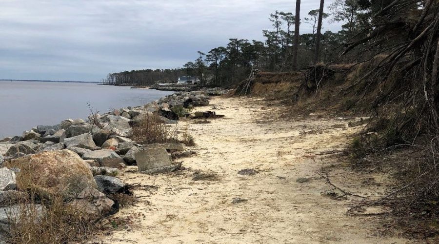 Flanners Landing in Croatan National Forest post-Hurricane Florence. Photo: USFS