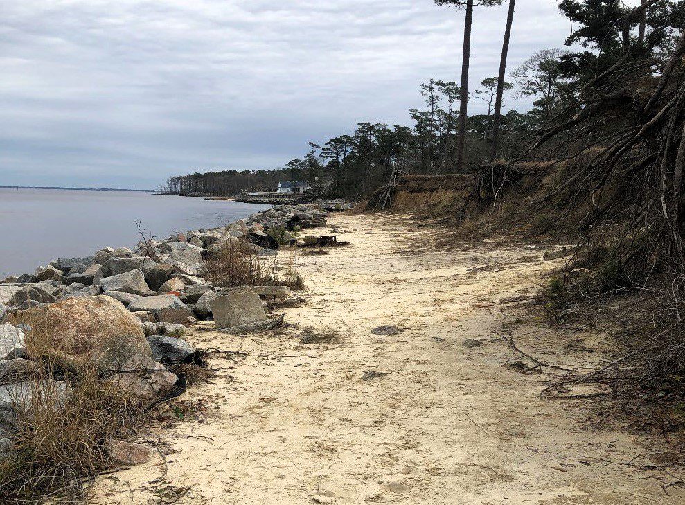 Flanners Landing in Croatan National Forest post-Hurricane Florence. Photo: USFS