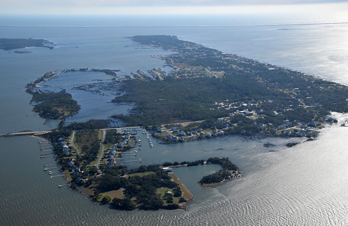 Cows swept away by floodwaters during Hurricane Dorian were found alive  four miles away on an island