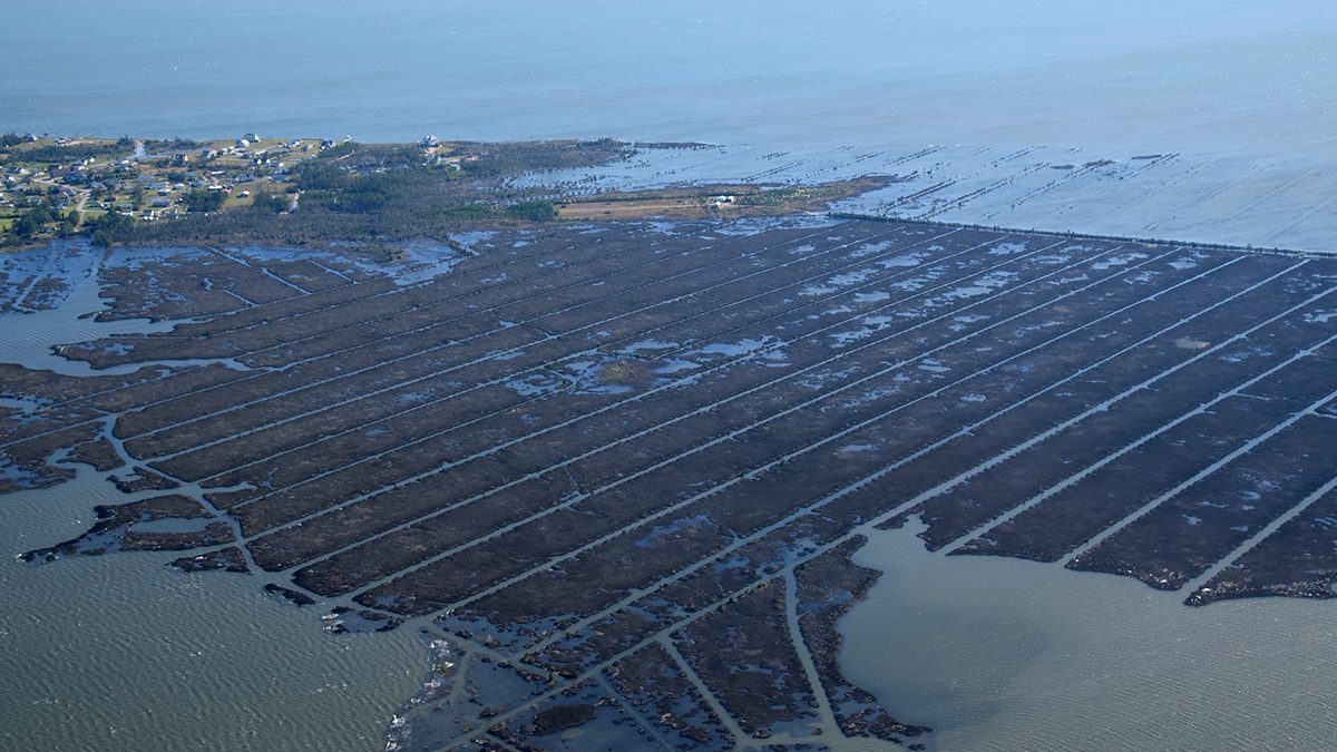 Corncrib Point, lower center, fronts a network of man-made ditches on Jarrett Bay near Davis in Carteret County. The ditches function both ways, draining and flooding, the latter of which illustrated here during a Nov. 8, 2021, king tide. Photo: Mark Hibbs/Southwings