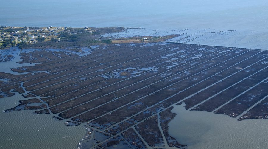 Corncrib Point, lower center, fronts a network of man-made ditches on Jarrett Bay near Davis in Carteret County. The ditches function both ways, draining and flooding, the latter of which illustrated here during a Nov. 8, 2021, king tide. Photo: Mark Hibbs/Southwings