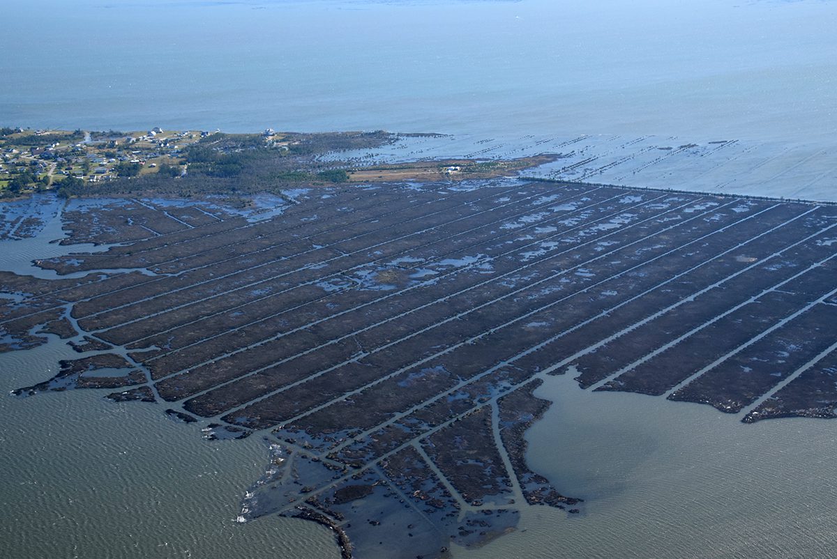 Corncrib Point, lower center, fronts a network of man-made ditches on Jarrett Bay near Davis in Carteret County. The ditches function both ways, draining and flooding, the latter of which illustrated here during a Nov. 8, 2021, king tide. Photo: Mark Hibbs/Southwings