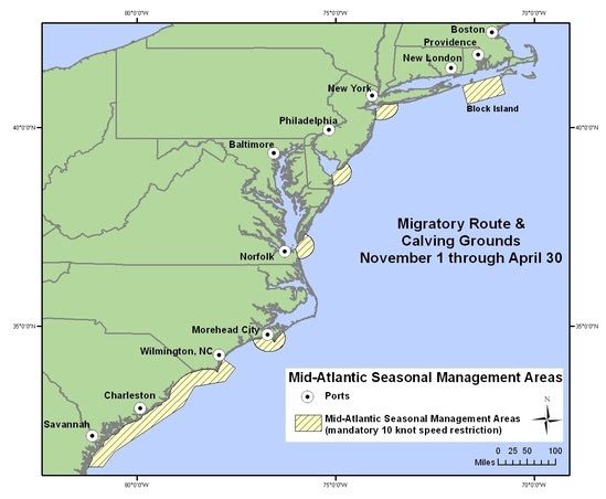 Mid-Atlantic seasonal management areas for endangered North Atlantic right whales. Map: NOAA 