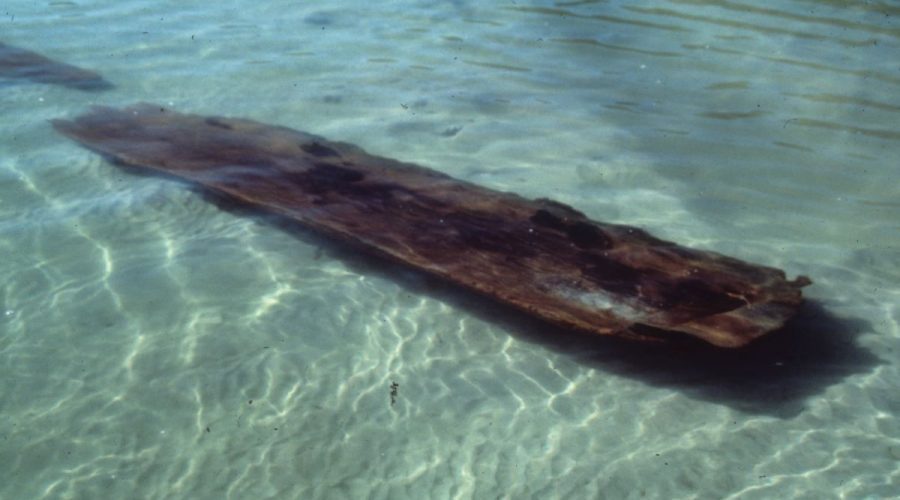 Excavated canoe visible through the waters of Lake Phelps. Photo: NCDNCR
