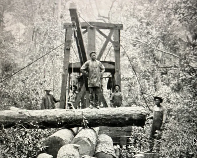 A logging crew in the East Dismal Swamp, historically one of the largest freshwater wetlands on the North Carolina coast, ca. 1910-12. Source: Surry Parker, Steam Logging Machinery (Pine Town, N.C., 1912). Copy, North Carolina Collection, UNC-Chapel Hill
