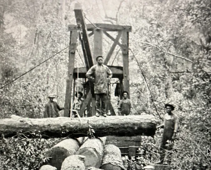 A logging crew in the East Dismal Swamp, historically one of the largest freshwater wetlands on the North Carolina coast, ca. 1910-12. Source: Surry Parker, Steam Logging Machinery (Pine Town, N.C., 1912). Copy, North Carolina Collection, UNC-Chapel Hill

