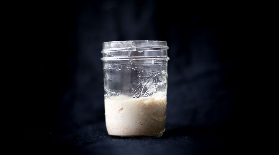 A jar of sourdough starter. Photo credit: Lauren Nichols/NCSU