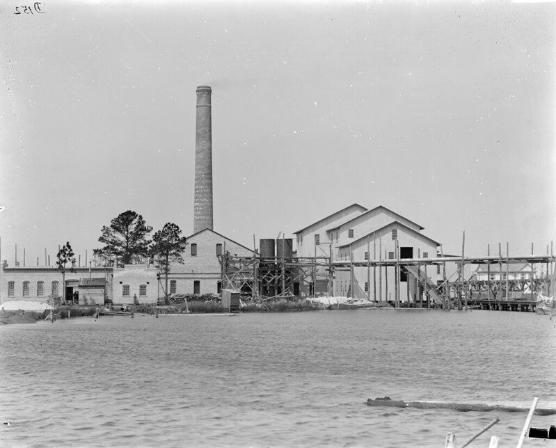 The John L. Roper Lumber Co.’s power plant, Belhaven, N.C., ca. 1906.  In 1893, with the arrival of the railroad and the construction of the Roper Company’s mill, Jack’s Leg was rechristened Belhaven. Within a year, the town’s population rose from 78 to 700. In addition to the sawmill and planing mill, John H. Wilkinson and his brother Samuel established a company store, an ice plant, a light and power plant, and other businesses. Whole neighborhoods of shanties, shotgun houses and boardinghouses– West Belhaven, Black Bottom, Rittertown– were built. Within a few years, Belhaven was home to a half-dozen lumber mills. Lumber barges and log rafts crowded the Pungo. Visitors reported that the whistle of the Norfolk & Southern’s log trains could be heard night and day, seven days a week. Even during the Great Depression, as many as a thousand carloads of lumber left the town by rail a year. Courtesy, H. H. Bromley Collection, State Archives of North Carolina

