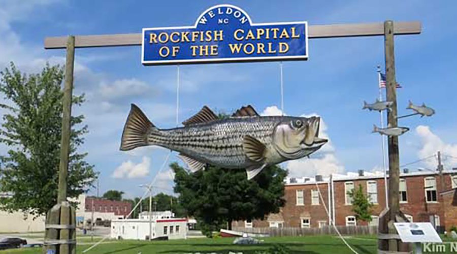 Weldon's roadside marker and "Rockfish Capital of the World" sign. Photo: Weldon In Action