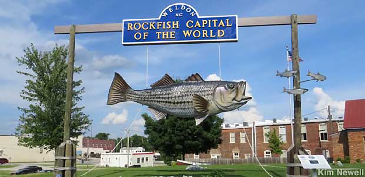 Weldon's roadside marker and "Rockfish Capital of the World" sign. Photo: Weldon In Action