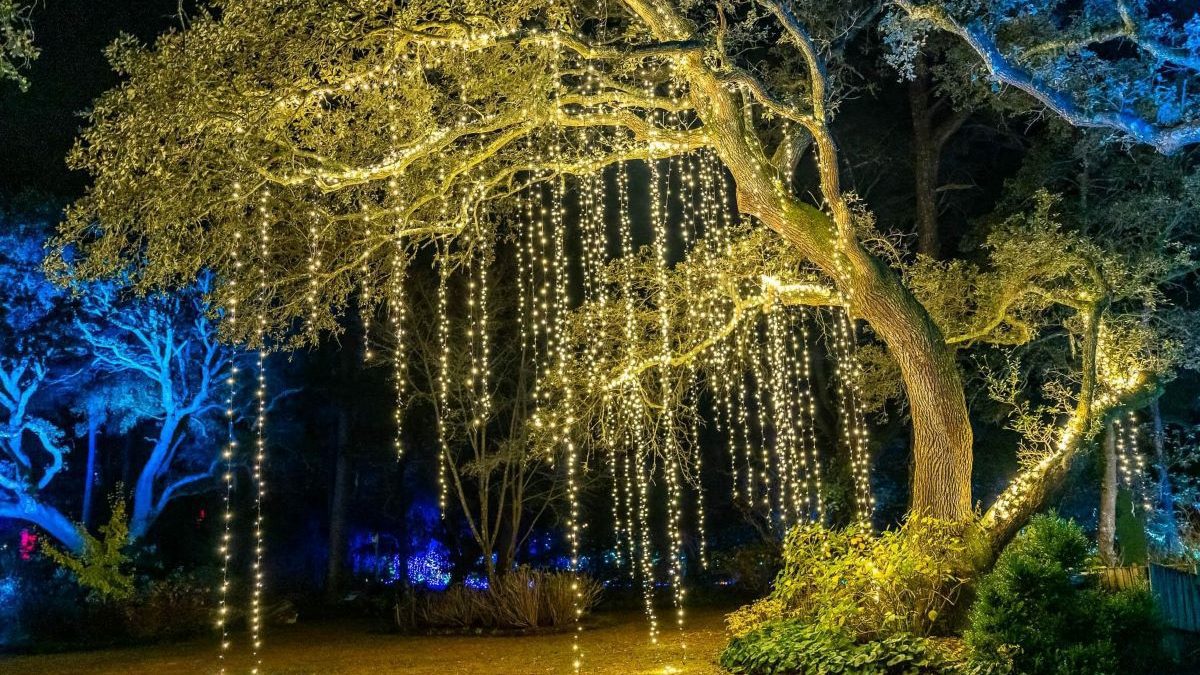 The Elizabethan Gardens’ annual WinterLights event will run 6 to 9 p.m. on select days through Dec. 30. Photo: Elizabethan Gardens Facebook