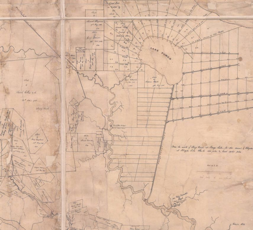 This survey is the earliest detailed map of the East Dismal Swamp that I have seen. Dated 1844, it shows the holdings of the Albemarle Swamp Land Company, a Virginia lumber company that had purchased approximately 100,000 acres of the East Dismal in 1840. The company had bought the land from the heirs of Josiah Collins (1735-1819), a wealthy planter who operated what amounted to a massive slave labor camp at Lake Phelps, 10 miles east of the Pungo River. At that site, Collins forced hundreds of Africans and their children and grandchildren to hew an agricultural plantation out of a vast pocosin swamp. Southern agricultural leaders widely considered his plantation at Lake Phelps to be a pioneering model for turning pocosin swamplands into agricultural fields. A central lesson of his experience, however, was that, at least at that time, it could only be done with large numbers of slave laborers and at the cost of an enormous amount of human suffering. On this map, we can see two major infrastructure projects that enslaved Africans and their descendants were forced to build in the vicinity of the Pungo River: the Pungo Canal, which runs out of Pungo Lake a distance of 6 and 1/2 miles to the Pungo River, and the Plymouth & Pungo Turnpike (in the map’s top left corner). Both projects helped to open up the East Dismal to logging after the Civil War. Source: Washington W. Hayman, “A Map of the Albemarle Swamp Land Company’s Lands… near Lake Pungo and Pungo River” (1844). Courtesy, State Archives of North Carolina

