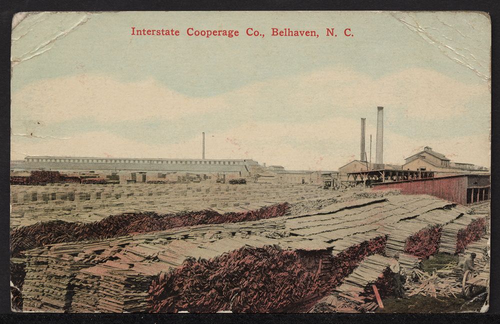 Established in Belhaven in 1905, the Interstate Cooperage Co. was the largest mill on the Pungo River in the early 20th century and was one of the largest lumber mills anywhere on the North Carolina coast. In the early 1900s, the company acquired the rights to hundreds of thousands of acres of forestland in at least Hyde, Beaufort, Carteret, Craven, and Jones counties, including a large part of what is now the Croatan National Forest. The company’s property on the Pungo included a sprawling sawmill, dry kilns, a stave mill, a barrel factory, and what was said to be the largest box factory in the world. Among much else, Interstate turned out the barrels and pallets that its owner, Standard Oil (the world’s largest petroleum company at that time), used for shipping petroleum. Somewhere between 600 and 900 workers, the vast majority of them African American, worked at the company’s mill in Belhaven, while many more toiled in its logging camps. Among its workers were also recent immigrant laborers brought south by labor agents.  Lumber and railroad companies in the vicinity of the East Dismal employed sizable numbers of Russian, Polish, Italian, Greek, Hungarian, Latin American, and other immigrants, especially between 1900 and 1925. Postcard from the Moore Family Papers, East Carolina University Digital Collections
