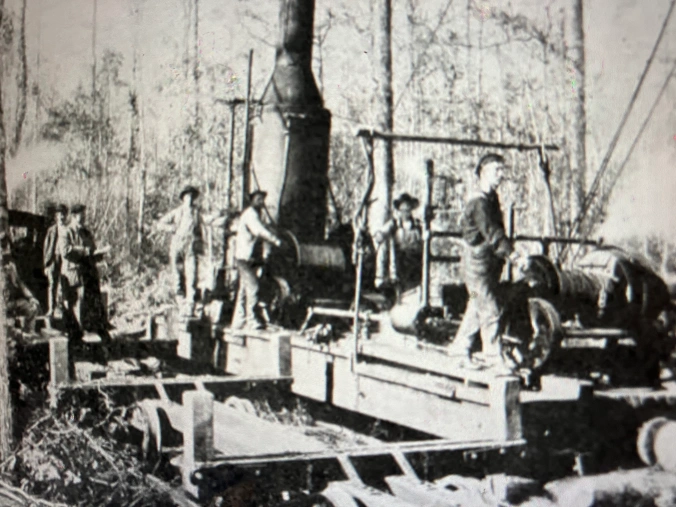 A crew of the John H. Roper Lumber Co.’s loggers using a steam skidder in a section of the East Dismal 9 or 10 miles northeast of the Pungo River’s headwaters. A technological revolution in logging technology may have been the first note in the East Dismal’s death knell. The industry’s adoption of steam power and railroads in the late 1800s meant that logging no longer had to  occur in the proximity of a waterway: railroads could reach into the interior of swamp forests, and logs and logging machinery could be moved by rail. The first successful steel-railed logging railroad in the U.S. was built in 1876– and the number of those logging roads in the U.S. rose from zero to 30,000 by 1910. Steam skidding (as we see in this photograph) and the first widely used steam-powered log loaders only appeared in the 1880s. Innovations in crosscut saws– the invention of raker teeth and the use of tempered steel blades–  also made logging more efficient. (Gasoline powered chain saws were not widely used until after World War Two.) Especially when combined with the use of steam-powered dredges to drain wetlands and make them more accessible to loggers, those developments meant that forests such as those in the East Dismal, that had previously seemed far less vulnerable to large-scale commercial logging, were suddenly in danger. American Lumberman, April 27, 1907.
