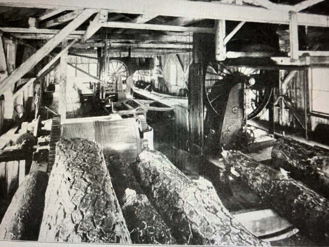 Technological innovations in sawmills were no less important to the East Dismal’s fate than those in logging. In the late 1800s, the introduction of steam feeds, log rollers, dry kilns, band saws (like this one at the John L. Roper Lumber Co.’s cedar mill in Roper, N.C.), mechanical carriers, so-called endless chains (for bringing logs into mills) and planing machines, among much else, all dramatically increased the milling capacity of sawmills, with far-reaching consequences for forests such as those in the East Dismal. Photo from American Lumberman, April 27, 1907.
