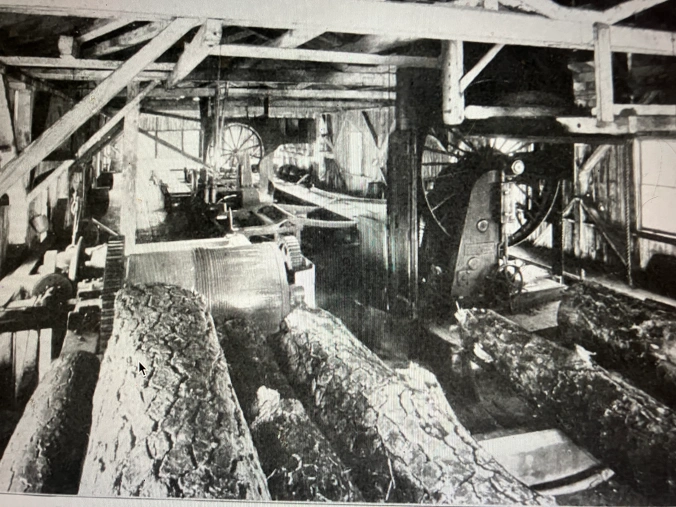 Technological innovations in sawmills were no less important to the East Dismal’s fate than those in logging. In the late 1800s, the introduction of steam feeds, log rollers, dry kilns, band saws (like this one at the John L. Roper Lumber Co.’s cedar mill in Roper, N.C.), mechanical carriers, so-called endless chains (for bringing logs into mills) and planing machines, among much else, all dramatically increased the milling capacity of sawmills, with far-reaching consequences for forests such as those in the East Dismal. Photo from American Lumberman, April 27, 1907.

