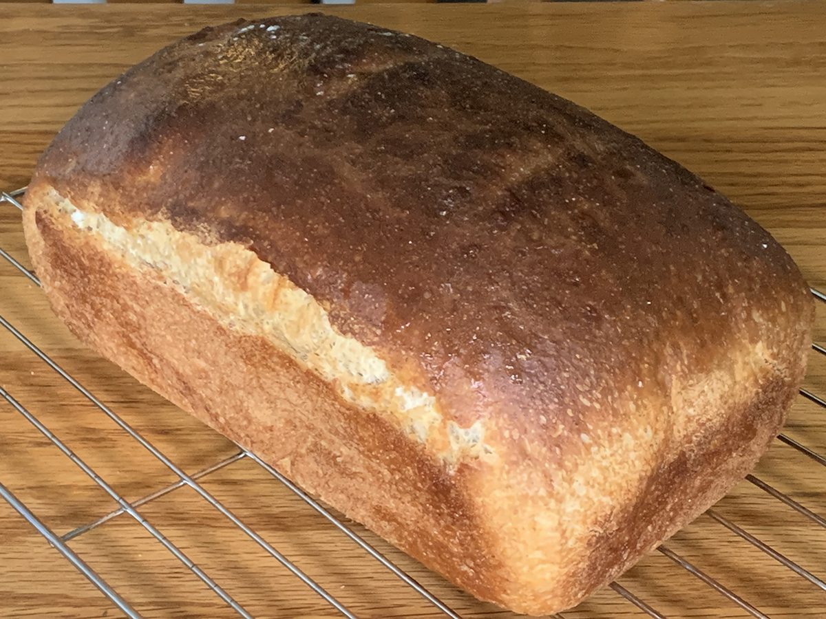 A sourdough loaf cools on a wire rack. Photo: Mark Hibbs