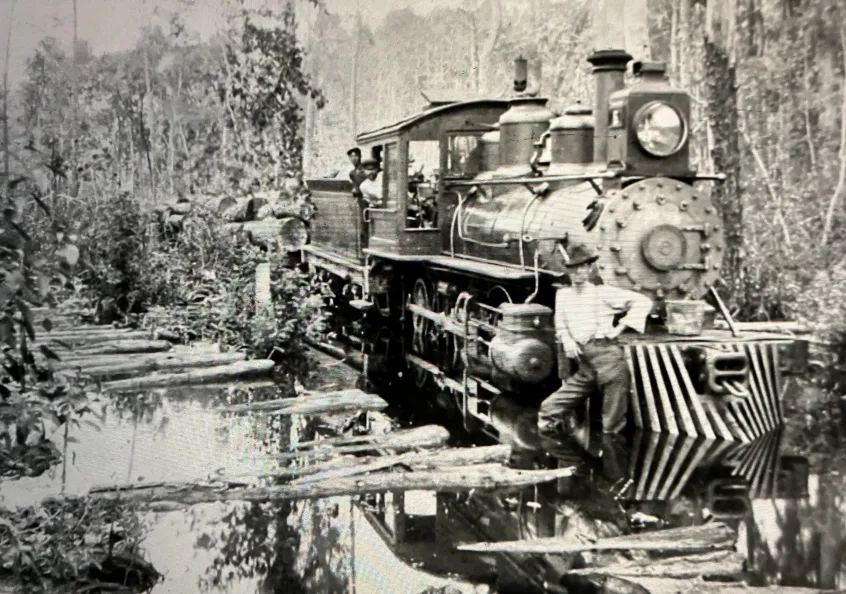 A locomotive hauling a load of logs out of a swamp forest near the Pungo River, ca. 1910-12. Surry Parker, a designer and builder of steam logging machinery, published this photograph in his company’s 1912 catalog to illustrate how the use of railroads and steam logging machinery opened up even the soggiest parts of swamp forests to logging. Source: Surry Parker, Steam Logging Machinery (Pine Town, N.C., 1912). Copy, North Carolina, UNC-Chapel Hill
