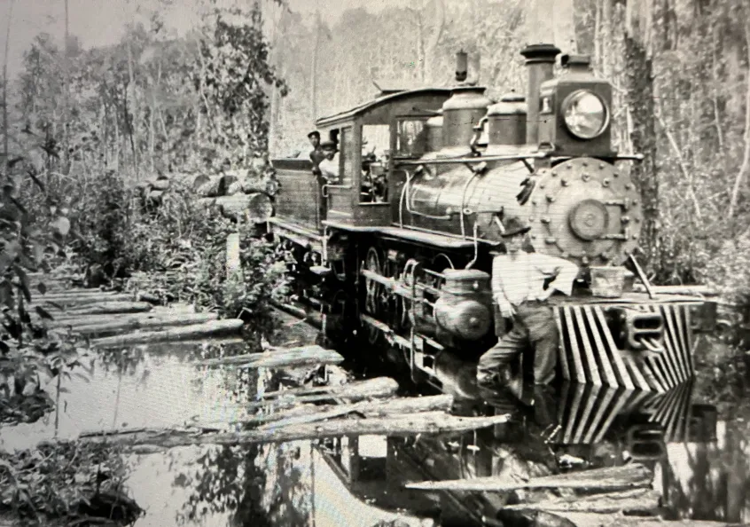 A locomotive hauling a load of logs out of a swamp forest near the Pungo River, ca. 1910-12. Surry Parker, a designer and builder of steam logging machinery, published this photograph in his company’s 1912 catalog to illustrate how the use of railroads and steam logging machinery opened up even the soggiest parts of swamp forests to logging. Source: Surry Parker, Steam Logging Machinery (Pine Town, N.C., 1912). Copy, North Carolina, UNC-Chapel Hill

