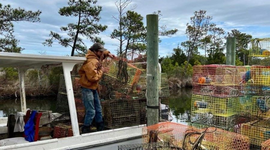 Commercial fishers on the northern and central coasts are needed to find and collect lost crab pots. Photo: Coastal Federation