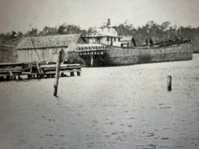 A lumber barge at the John L. Roper Lumber Co.’s wharf in the mill village of Scranton, on the east side of the Lower Pungo River.  As of 1907, the John L. Roper Lumber Co.’s fleet of vessels included 16 barges, 12 tugboats, three schooners, and a yacht. In addition to shipping lumber to northern seaports, the company also used local waterways to transport logs to its sawmills, sometimes on barges and other times by floating rafts of logs down a river or creek. Photo from American Lumberman, April 27, 1907.
