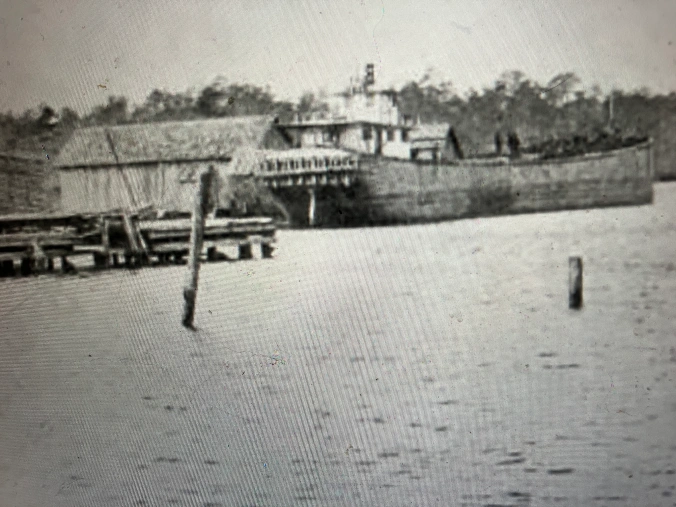 A lumber barge at the John L. Roper Lumber Co.’s wharf in the mill village of Scranton, on the east side of the Lower Pungo River.  As of 1907, the John L. Roper Lumber Co.’s fleet of vessels included 16 barges, 12 tugboats, three schooners, and a yacht. In addition to shipping lumber to northern seaports, the company also used local waterways to transport logs to its sawmills, sometimes on barges and other times by floating rafts of logs down a river or creek. Photo from American Lumberman, April 27, 1907.

