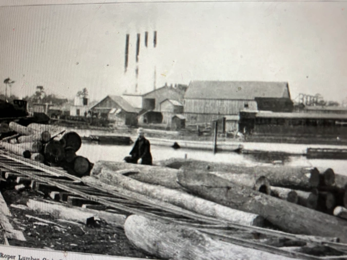 The John L. Roper Lumber Co.’s sawmill in Scranton, on the east side of the Lower Pungo River, ca. 1907. In the 1890s and early 1900s, the company gobbled up other lumber companies left and right, including at least three on the Pungo River– the Albemarle Swamp Land Co., the Belhaven Lumber Co., and the Alleghany Lumber Co. By the date of this photograph, the Roper Lumber Co. had reportedly accumulated land holdings totaling 600,000 acres and had leasing rights to another 200,000 acres on the North Carolina coast and in southeast Virginia. According to company reports, its mills were capable of sawing approx. 500,000 board ft. of lumber a day. In addition to its larger mills in Gilmerton, Va., and in Belhaven, Roper, Oriental, and New Bern, N.C., the company also had sizable but smaller sawmills in seven other locales on the North Carolina coast: Scranton, Pollocksville, Jacksonville, James City, Winthrop (at the mouth of Adams Creek), and two sites on Clubfoot Creek. American Lumberman, April 27, 1907.
