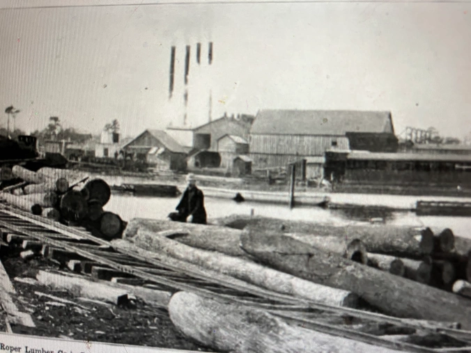 The John L. Roper Lumber Co.’s sawmill in Scranton, on the east side of the Lower Pungo River, ca. 1907. In the 1890s and early 1900s, the company gobbled up other lumber companies left and right, including at least three on the Pungo River– the Albemarle Swamp Land Co., the Belhaven Lumber Co., and the Alleghany Lumber Co. By the date of this photograph, the Roper Lumber Co. had reportedly accumulated land holdings totaling 600,000 acres and had leasing rights to another 200,000 acres on the North Carolina coast and in southeast Virginia. According to company reports, its mills were capable of sawing approx. 500,000 board ft. of lumber a day. In addition to its larger mills in Gilmerton, Va., and in Belhaven, Roper, Oriental, and New Bern, N.C., the company also had sizable but smaller sawmills in seven other locales on the North Carolina coast: Scranton, Pollocksville, Jacksonville, James City, Winthrop (at the mouth of Adams Creek), and two sites on Clubfoot Creek. American Lumberman, April 27, 1907.

