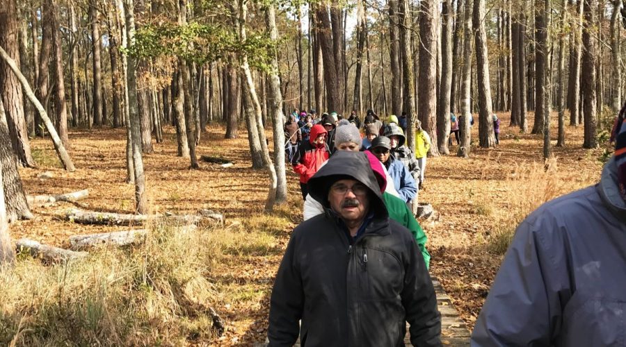 Hikers on a trail at Goose Creek State Park during a past First Day HIke. Photo: DPR Staff