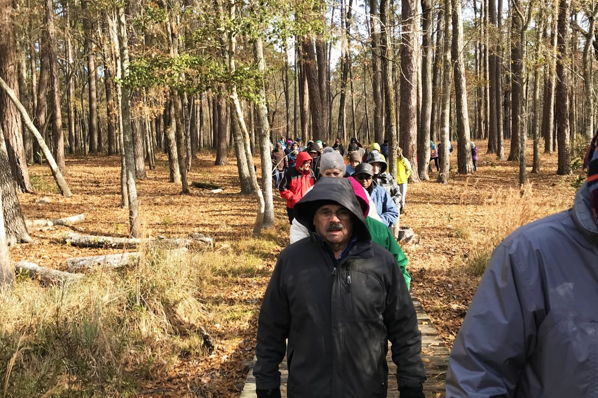 Hikers on a trail at Goose Creek State Park during a past First Day Hike. Photo: Division of Parks and Recreation
