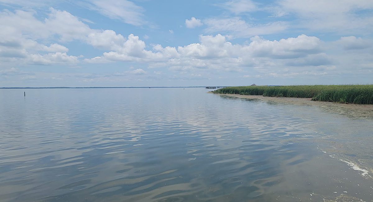 Currituck Sound is barely ankle deep at times off the Whalehead Club. Photo: Sam Walker
