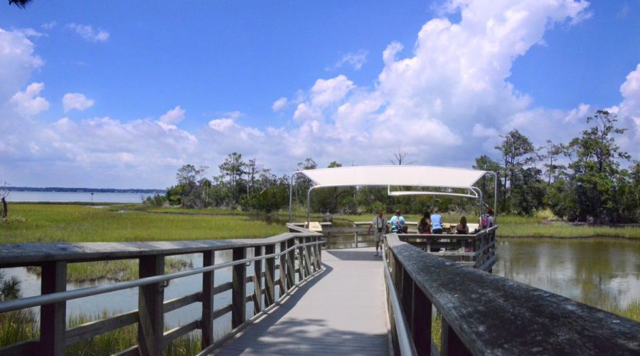 The marsh boardwalk at the N.C. Aquarium at Pine Knoll Shores will be closed to the public this spring during renovations. Photo: NC Aquariums