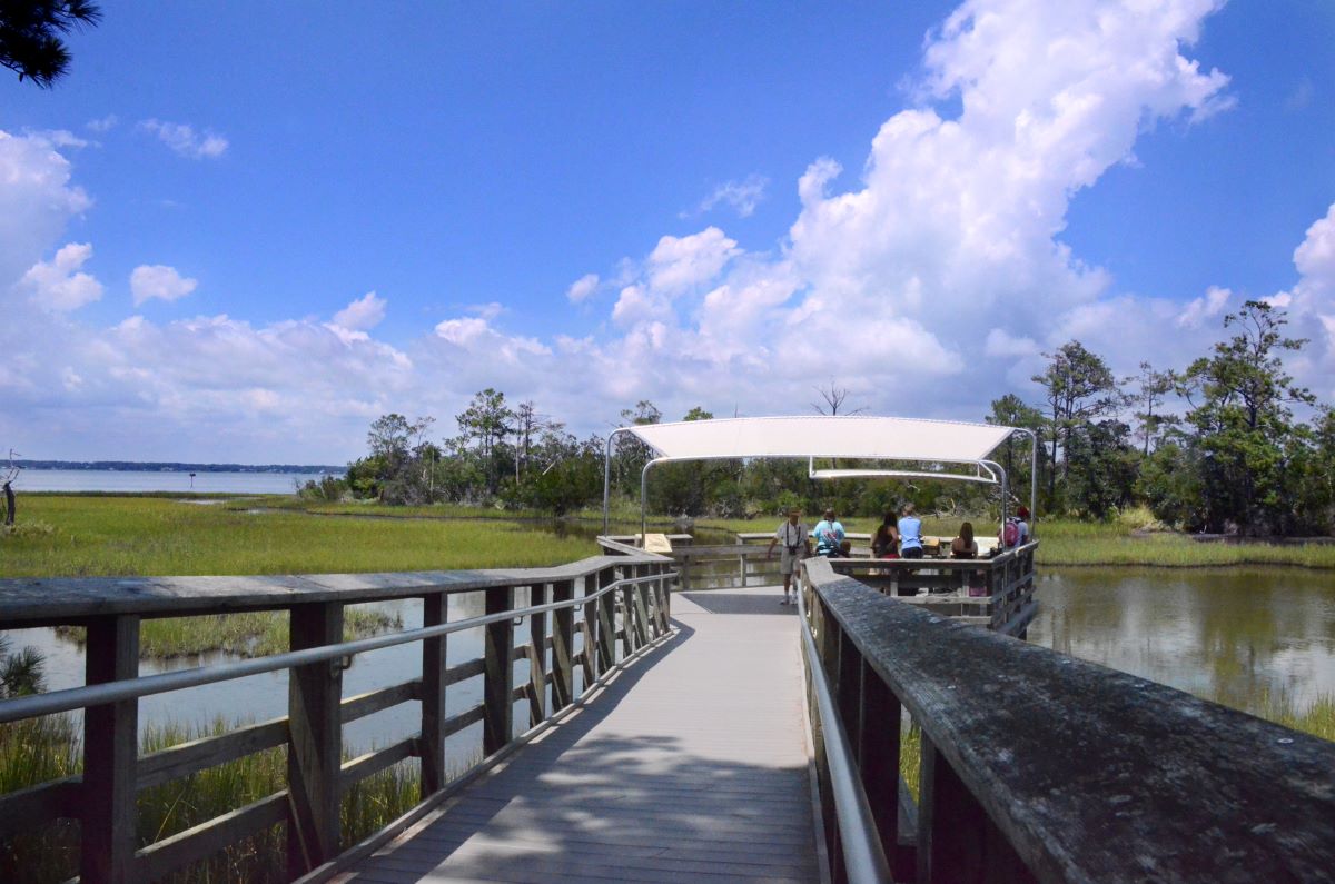 The marsh boardwalk at the North Carolina Aquarium at Pine Knoll Shores is closed to the public for renovations. Photo: NC Aquariums