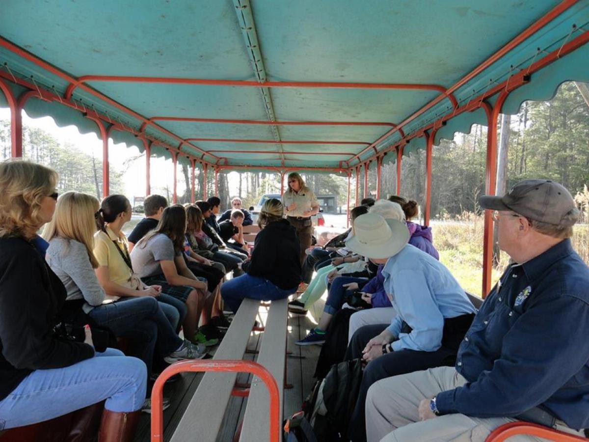 A past Alligator River National Wildlife Refuge open-air tram tour. Photo: Bob Glennon